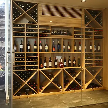 兰萨罗特公园伊贝罗斯塔选择酒店 5*